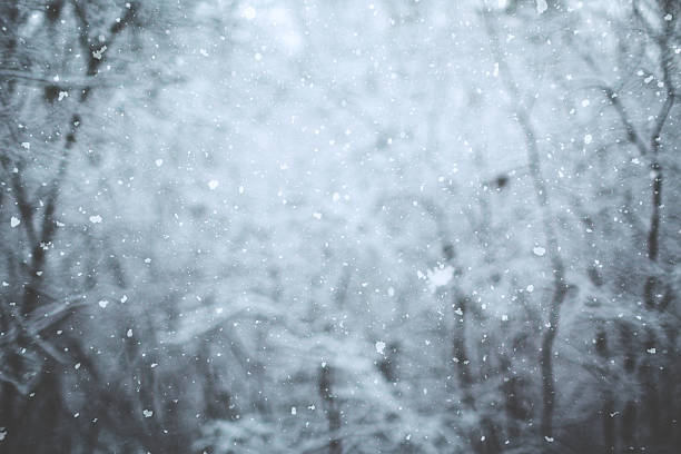 istock Winter scene - snowfall in the woods 621832364