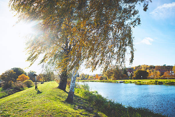 Colourfull trees by the ship canal in autumn