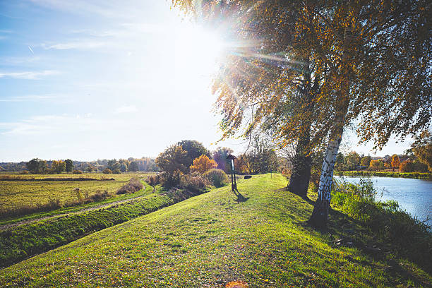 istock Colourfull trees by the ship canal in autumn 621834184