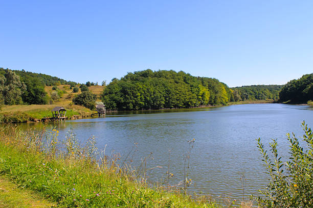 istock Beautiful lake on summer 621834610