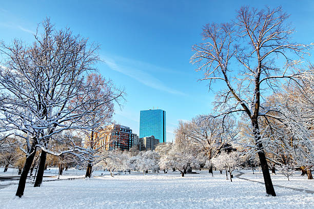 зима в общественный сад бостона - boston winter snow massachusetts стоковые фото и изображения