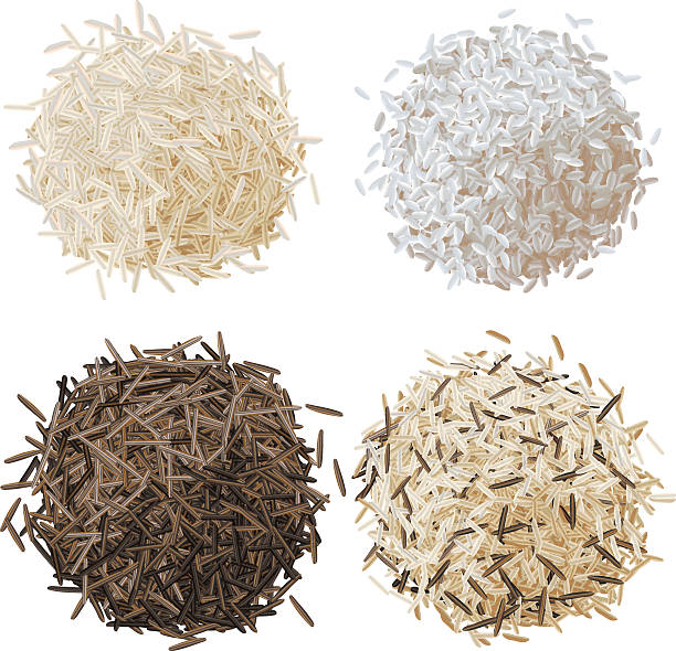 Rice pile set vector illustration Realistic rice pile set vector illustration, basmati, risotto, wild brown rice and mixed rice wild rice stock illustrations