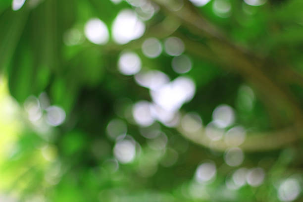 istock green bokeh abstract light background 621837750