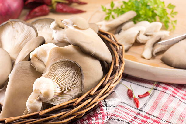 bunch of oyster mushrooms bunch of  fresh oyster mushrooms ready for cooking oyster mushroom stock pictures, royalty-free photos & images