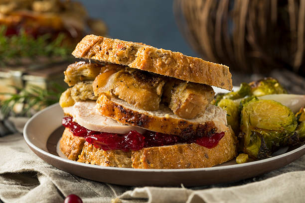 domowe święto dziękczynienia resztki kanapka z indyka - sandwich turkey cranberry cheese zdjęcia i obrazy z banku zdjęć