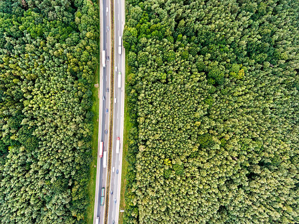 vista aérea de autopista, traffic jam, verde del bosque, países bajos - highway traffic aerial view netherlands fotografías e imágenes de stock