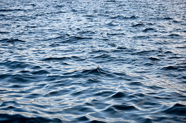 istock Full of small sea waves 621842950
