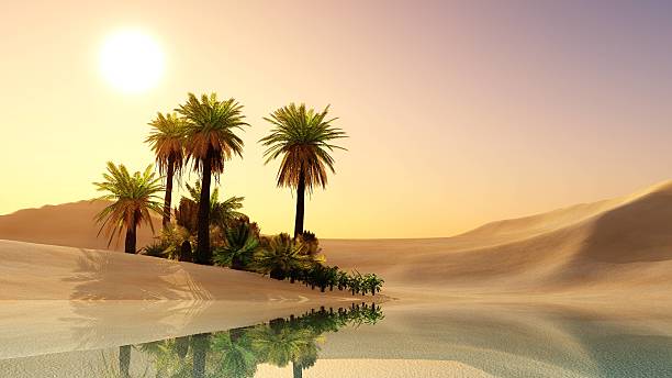 istock Oasis in the desert sand. 621843518