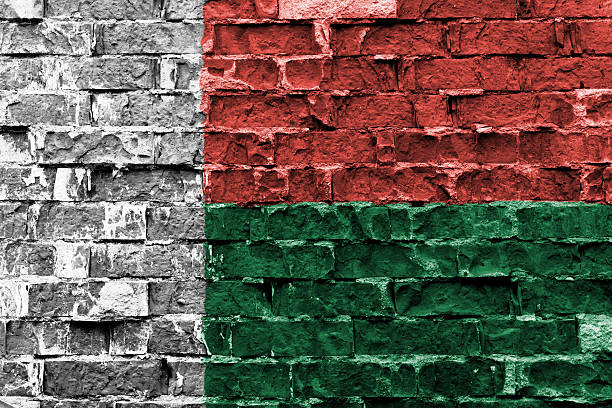 istock Flag of Madagascar painted on brick wall 621843762