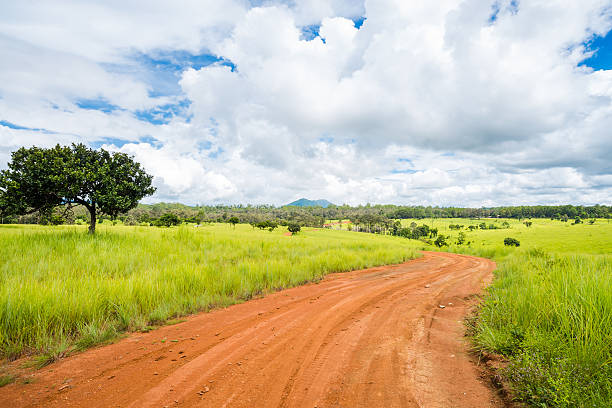 istock meadow savanna landscape 621844390