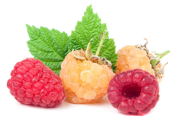 istock red and yellow raspberries with leaves on a white background 621844978