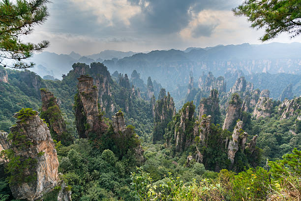 Mountains in Zhangjiajie national park Mountains in Zhangjiajie national park zhangjiajie stock pictures, royalty-free photos & images
