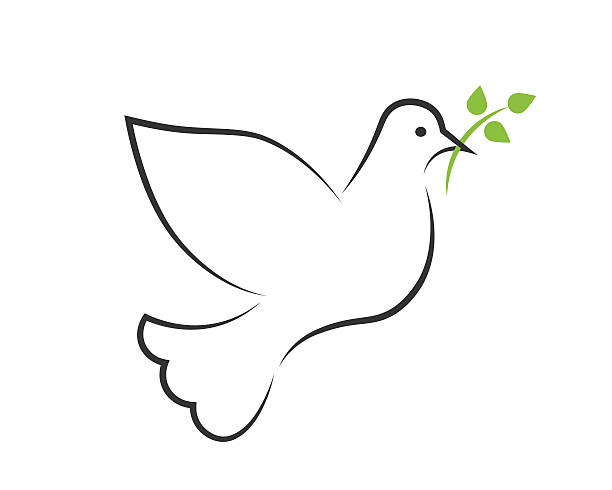 White dove contour with a green branch White dove contour with a green branch as peace or religion symbol whitsun stock illustrations