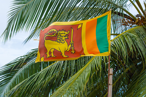 Sri Lanka national flag on a background of palm trees on a bamboo flagpole.