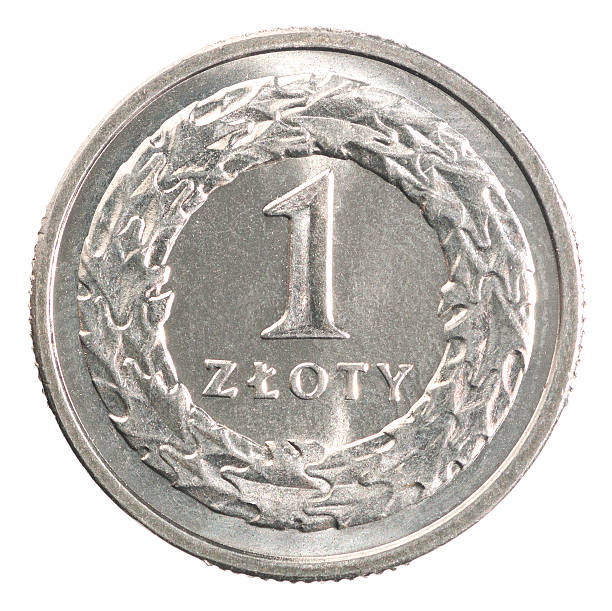 istock Polish zloty coin 621848584