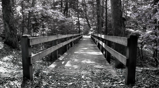 percorsi da trekking - leelanau county foto e immagini stock