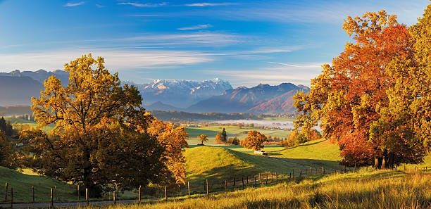 View over Riegsee with Zugspitze in Background at Autumn Lonely cow in autumn at Riegsee with Zugspitze in Background murnau photos stock pictures, royalty-free photos & images