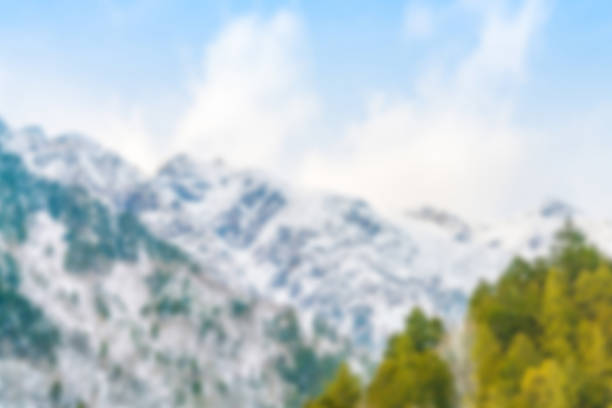 Abstract blur of Japanese mountains in winter