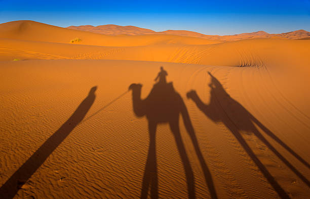 istock Camelride in the Sahara, Marokko 621850968