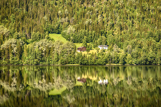 istock Beautiful Nature in Norway 621854934