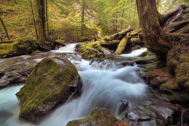 istock Log Jam at Panther Creek 621855544