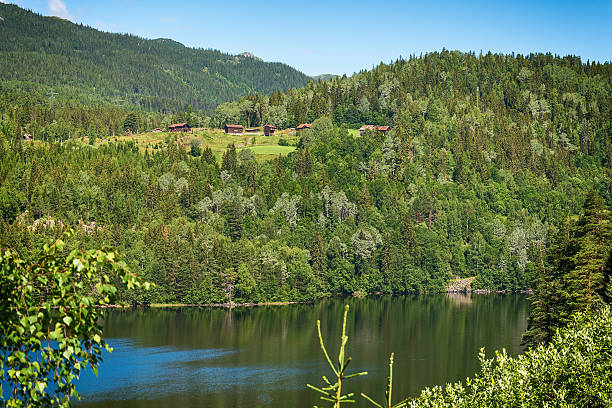 istock Beautiful Nature in Norway 621856850