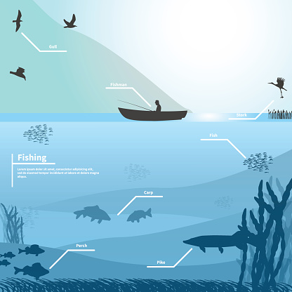Vector illustration fishing on a blue background. Fisherman on the boat fishes on the lake. Birds and fish living in the lake. Underwater life. Infographics fishing.