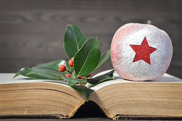 Christmas apple, berries and old book