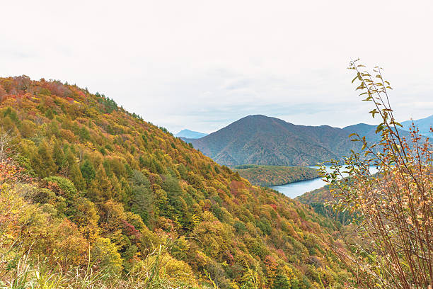 istock Scenery of the Akimoto Lake 621862238