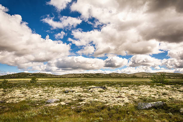 istock Beautiful Nature in Norway 621862758