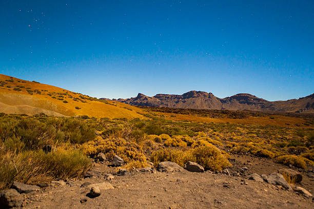 istock Orotava Valley - Teide's National Park 621892456