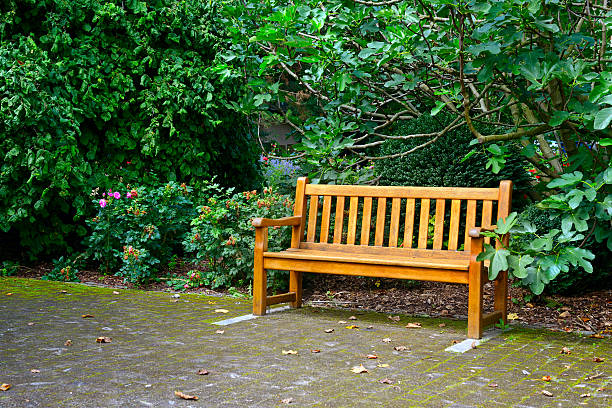 istock Wooden bench in beautiful park 621892810