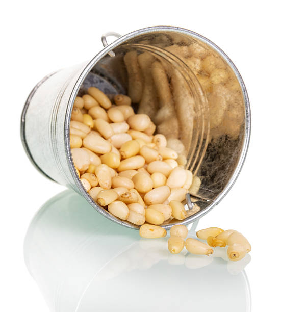 istock Pine nuts redischarge from overturned bucket isolated on white background. 621896068