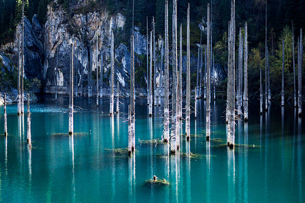 istock Mountain Lake Kaindy in Kazakhstan 621896172