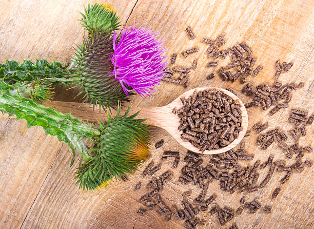 istock Granular and fresh thistle with flowers. (Silybum marianum) 621897454