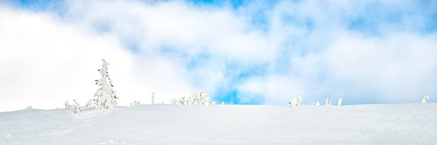 istock Winter barren landscape 621897810