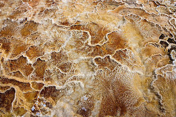 istock Yellowstone National Park 621898394