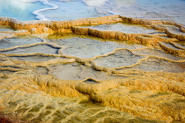 istock Yellowstone National Park 621898644