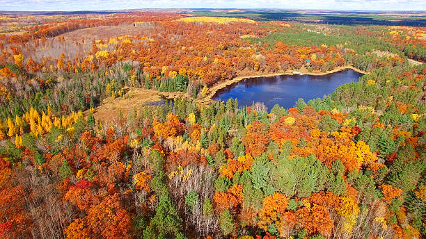 istock Amazing Autumn scenery, forests with lake, Fall colors, Aerial view 621904610