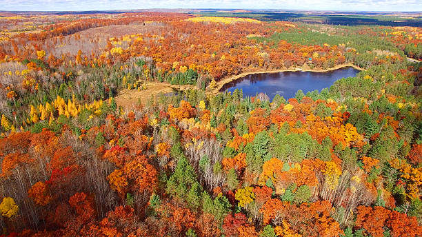 istock Amazing Autumn scenery, forests with lake, Fall colors, Aerial view. 621904742