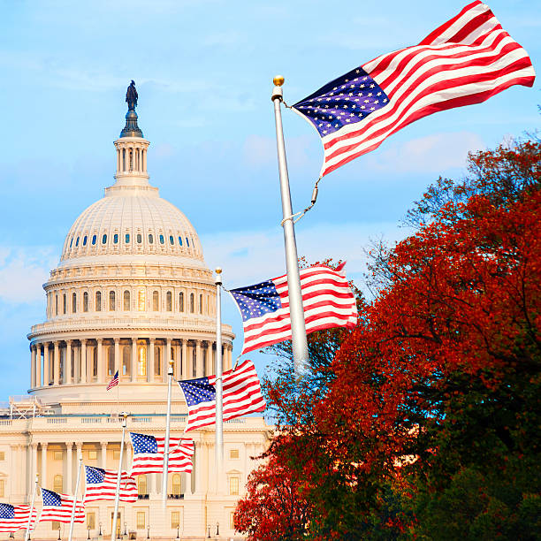 the us capitol in washington d.c., usa, at sunset - washington dc architecture nobody american flag imagens e fotografias de stock