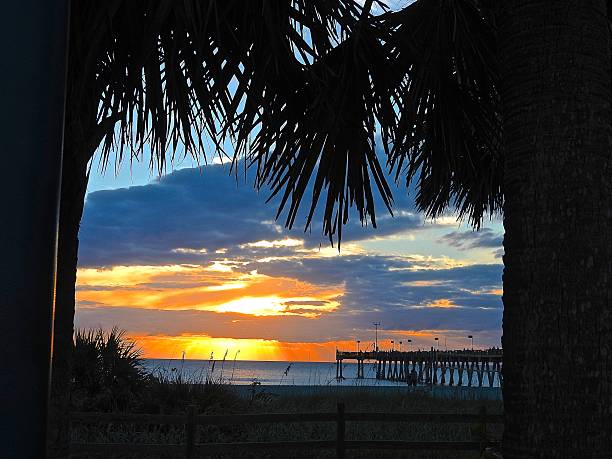 istock Venice Pier in Venice, FL 621905990