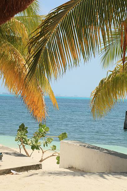 istock Isla Mujeres sunny beach and sea 621905994