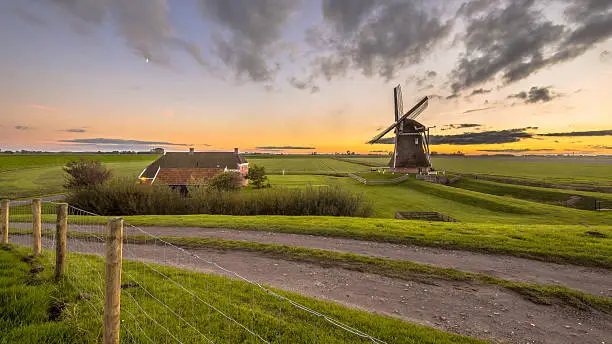 Photo of Dutch Wooden windmill in grassy dairy landscape