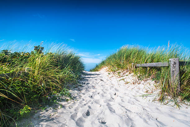 istock Clean white sand leading to a North sea beach 621907106