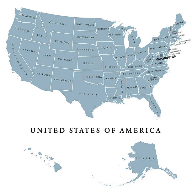 USA United States of America political map USA United States of America political map with capital Washington. The U.S. states including Alaska and Hawaii with their borders. Gray colored illustration with English labeling on white background. alaska us state stock illustrations