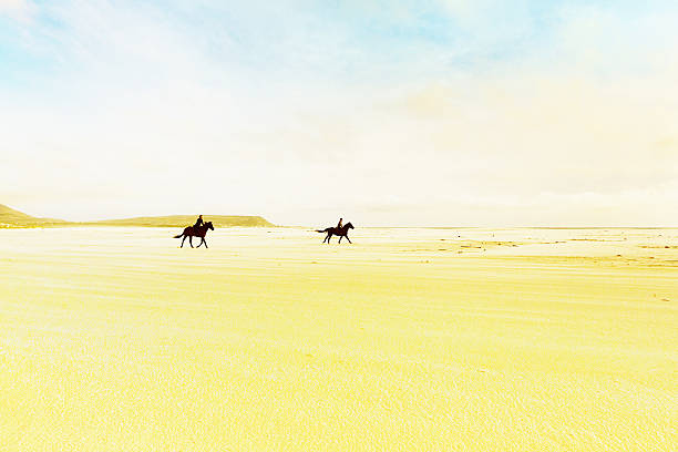istock Distant horseback riders galloping across bright, sunny beach 621909034
