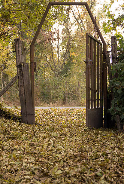 istock The autumn leaves 621910060
