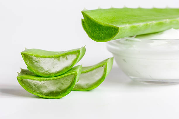istock aloe vera - leaves and cream isolated on white background 621911226