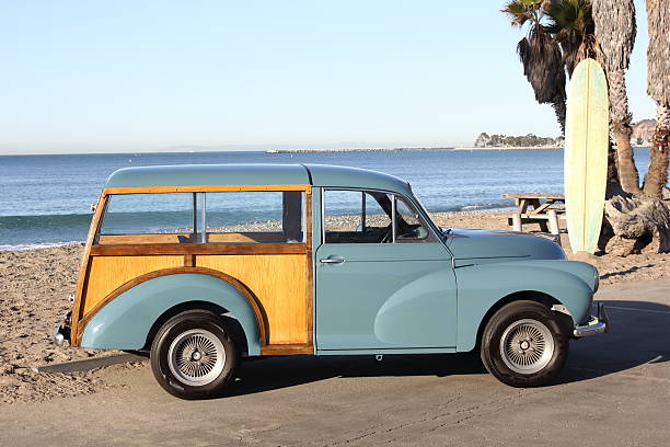 istock Woody on a Sunny Day at the Beach 621912504